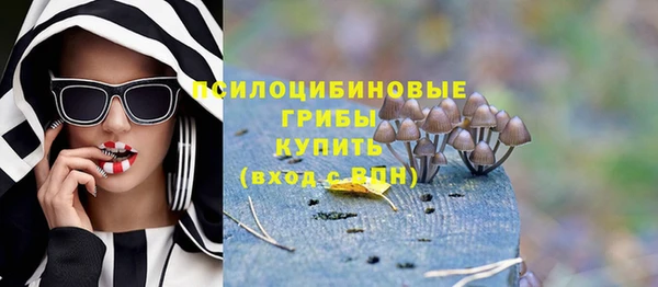 apvp Заводоуковск