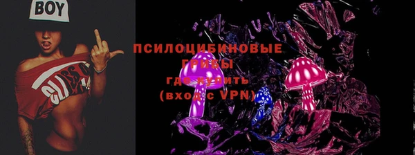 гашик Зеленокумск