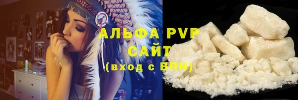 гашик Зеленокумск