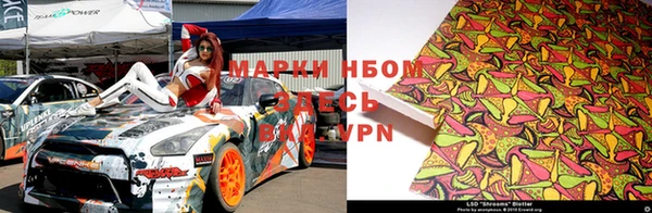 гашик Зеленокумск