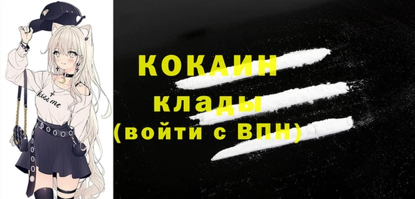 гашик Зеленокумск