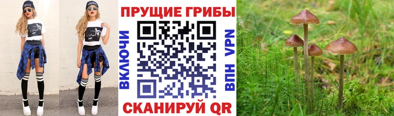 hydra сайт  купить  цена  Коломна  Галлюциногенные грибы прущие грибы 